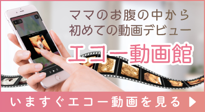 エコー動画館のバナー