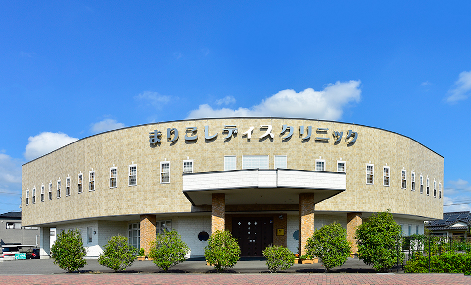 静岡県静岡市駿河区丸子新田のまりこレディスクリニックの外観