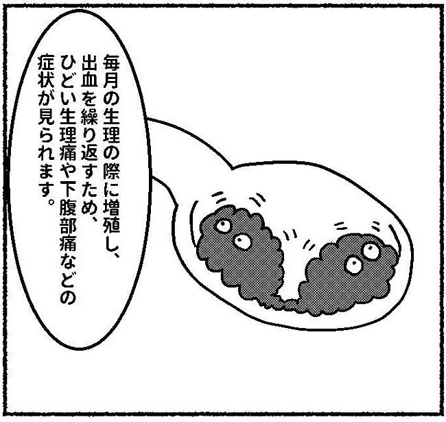 子宮内膜症日記9