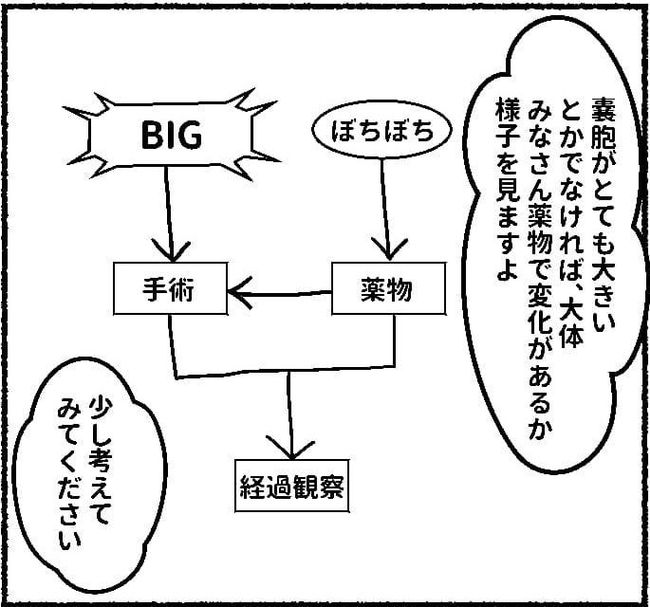 「がん化することもある…」わかってはいたけどやっぱり怖い…！どうする私！？ #子宮内膜症日記 10