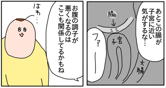 「アンビリーバボー!」やっぱりあった!衝撃の事実も! #つんの子宮内膜症 13