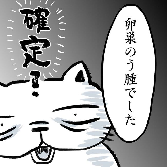 「手術です」ずっと健康だったのに…突然の宣告!? #卵巣のう腫赤裸々レポ 8