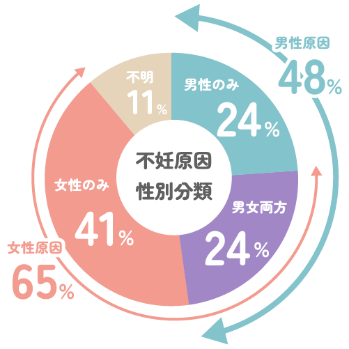 不妊原因の性別分類を示す円グラフ。女性のみ41%、男性のみ24%、男女両方24%、不明11%。女性側要因の合計は65%、男性側要因は48%。