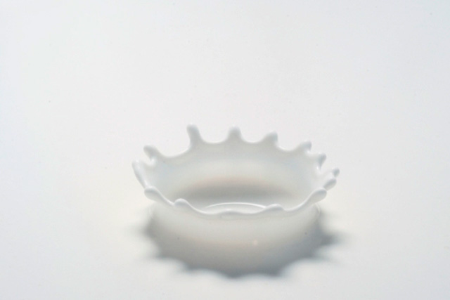 ミルククラウンの写真