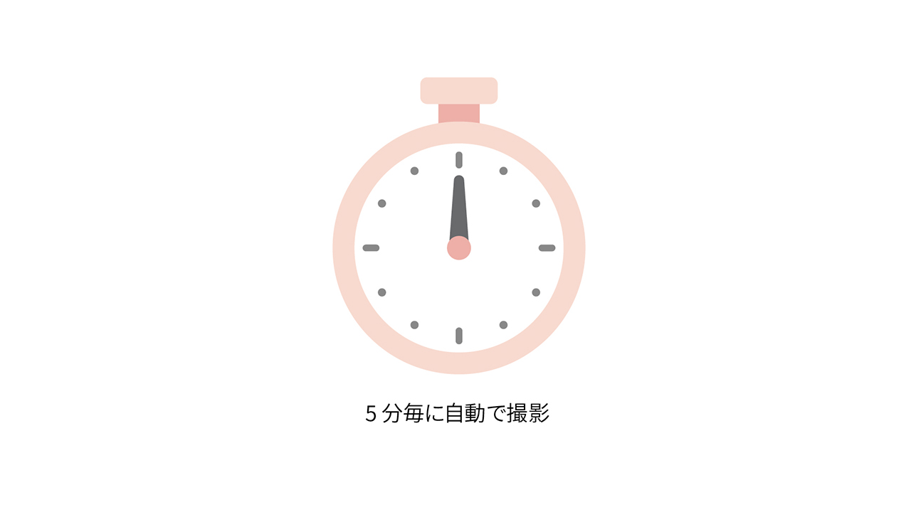 定期的に撮影