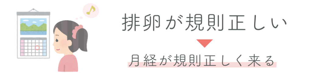 排卵が規則正しい、月経が正しくくる